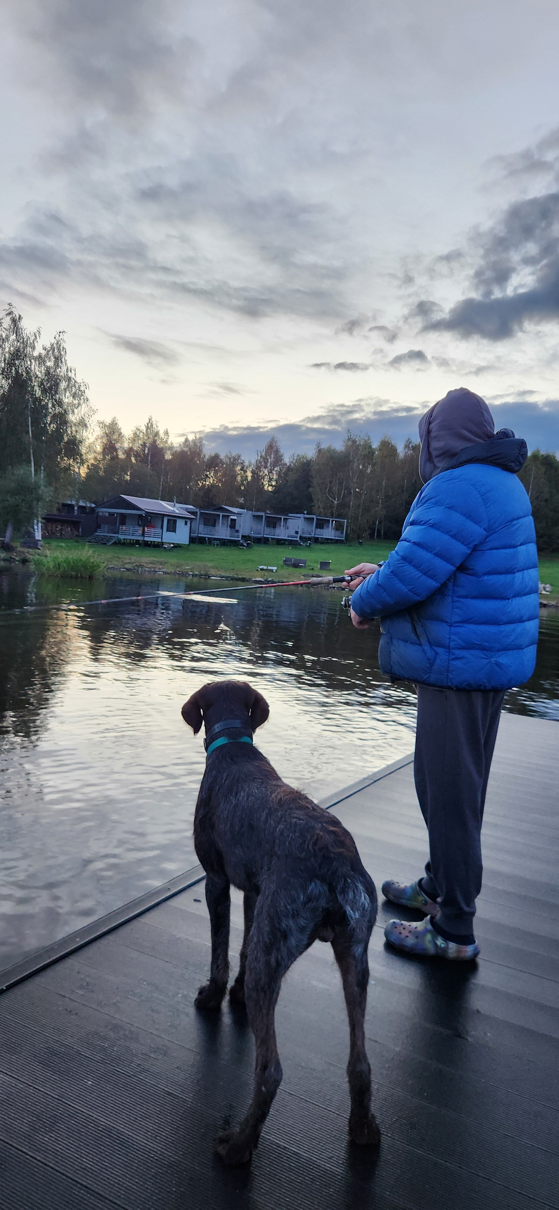 Фото Ёлки зелёные