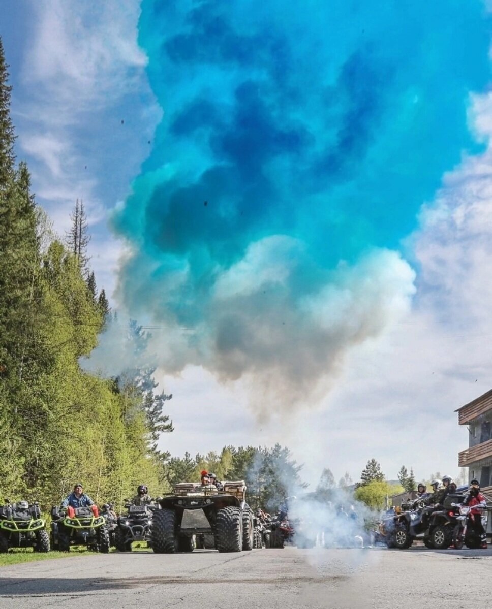 Фото Ромашка