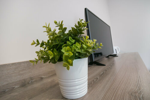 Гостиница Абрикос Плюс в Геленджике