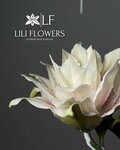 Lili Flowers (Tsentralniy Subdistrict, Kirova Street, 17к1), flower shop