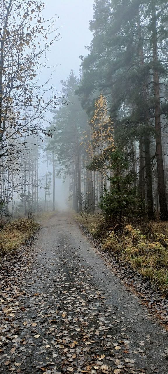 Фото Шёпот Ветра