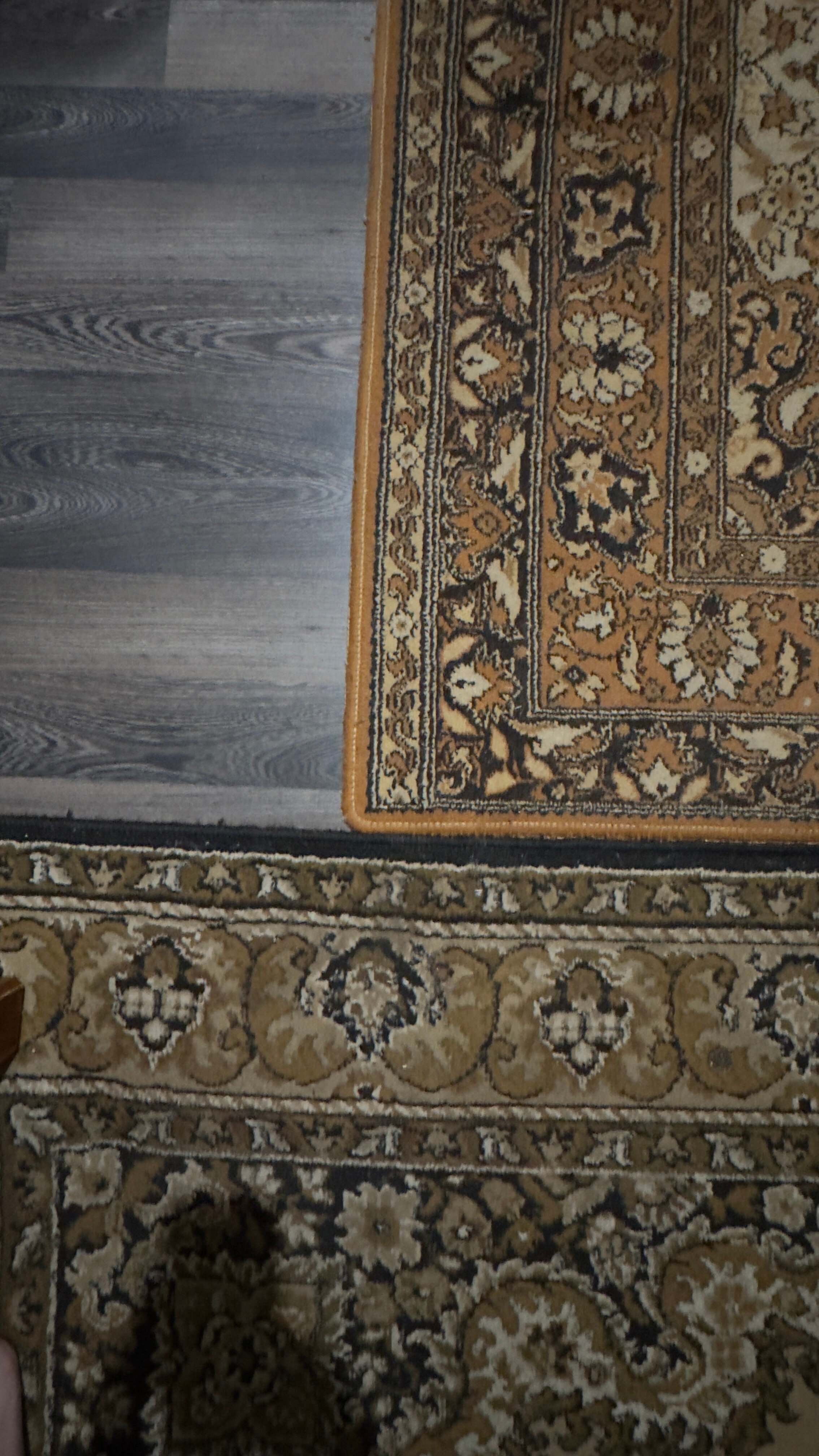 Фото Три Богатыря