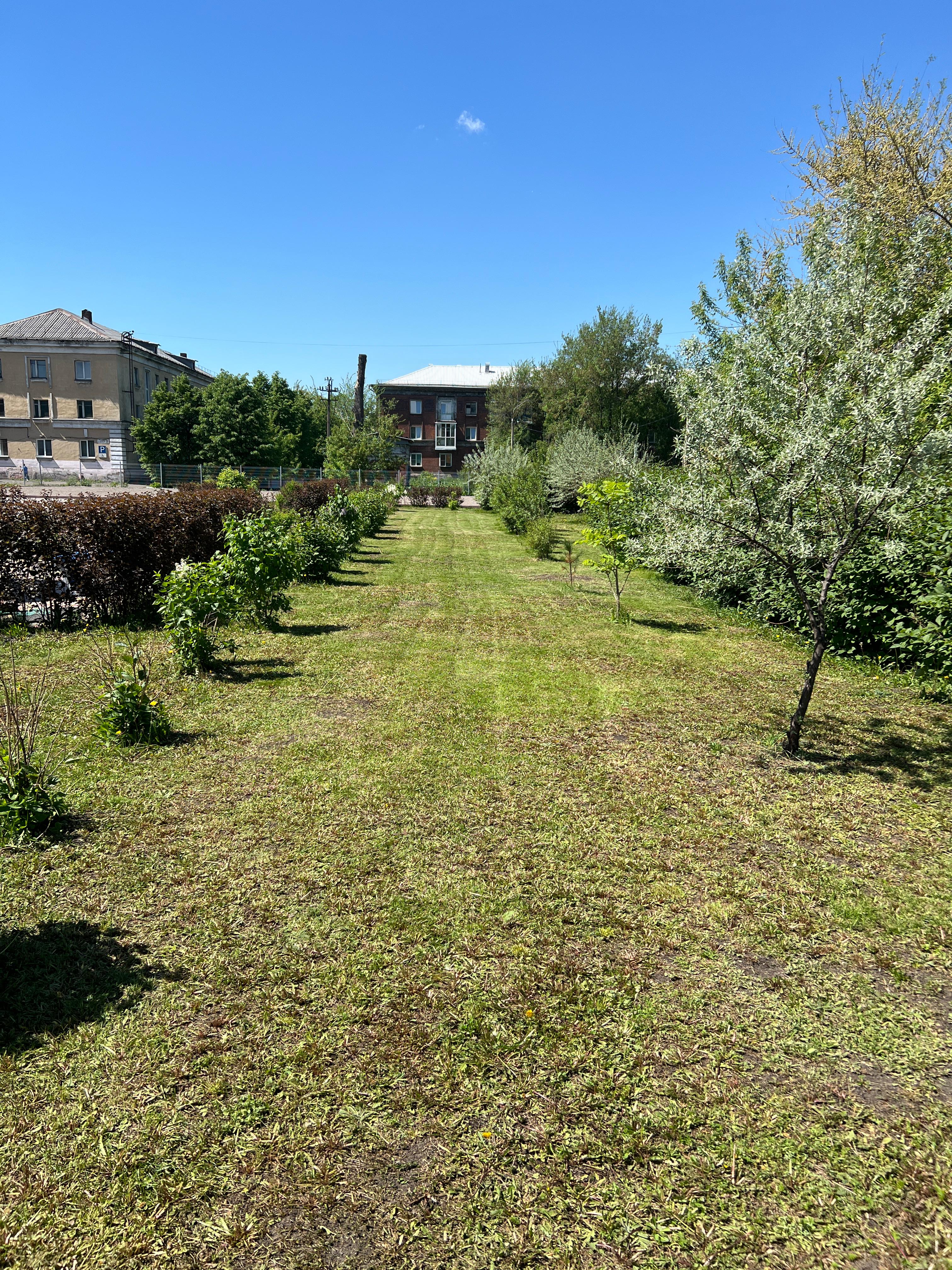 Фото Тетрис