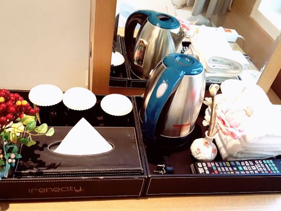 Фото Hotel Irene City