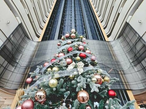 Внешний вид отеля Shenzhen Marriott Hotel Nanshan в Шэньчжэни, фото 4