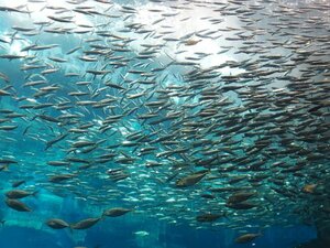 Гостиница Hotel Airport Komatsu