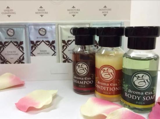 Фото Keio Plaza Hotel Sapporo