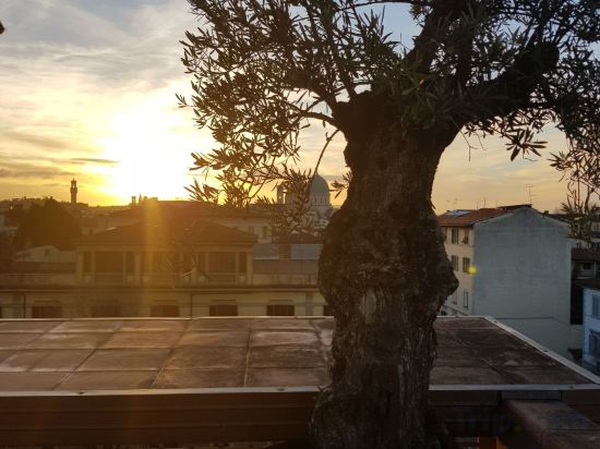 Фото Forte16 Apartments & View