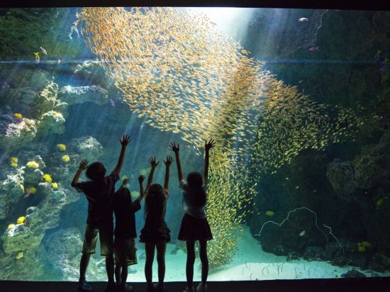 Фото Iwaki Washington Hotel