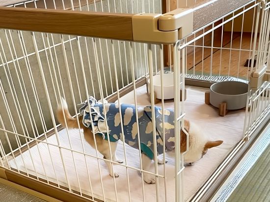 Фото Mikawa Bay Quasi-National Park Miya Onsen Hiranoya Ryokan & Sauna