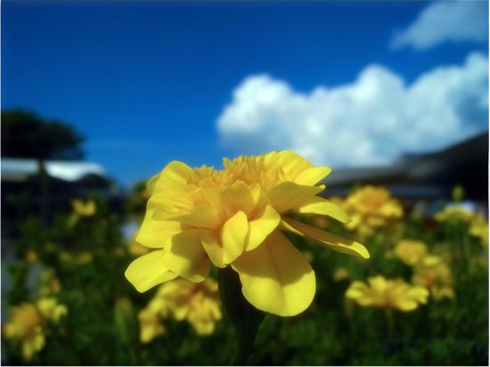 Фото Hotel Route Inn Igaueno Iga Ichinomiya Inter