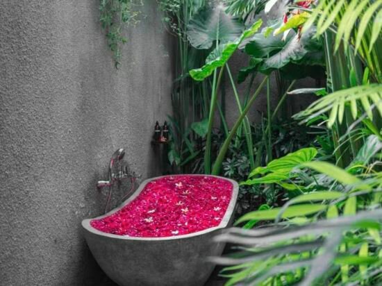 Фото Bajalo Cottage Canggu