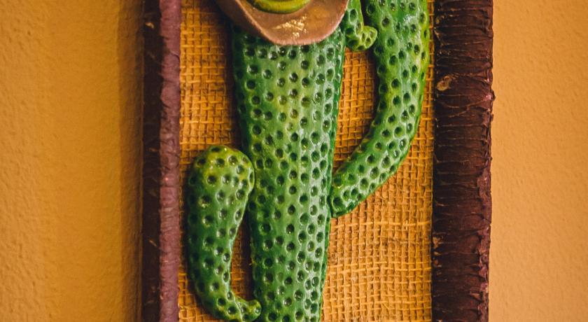 Фото Мартон Амиго