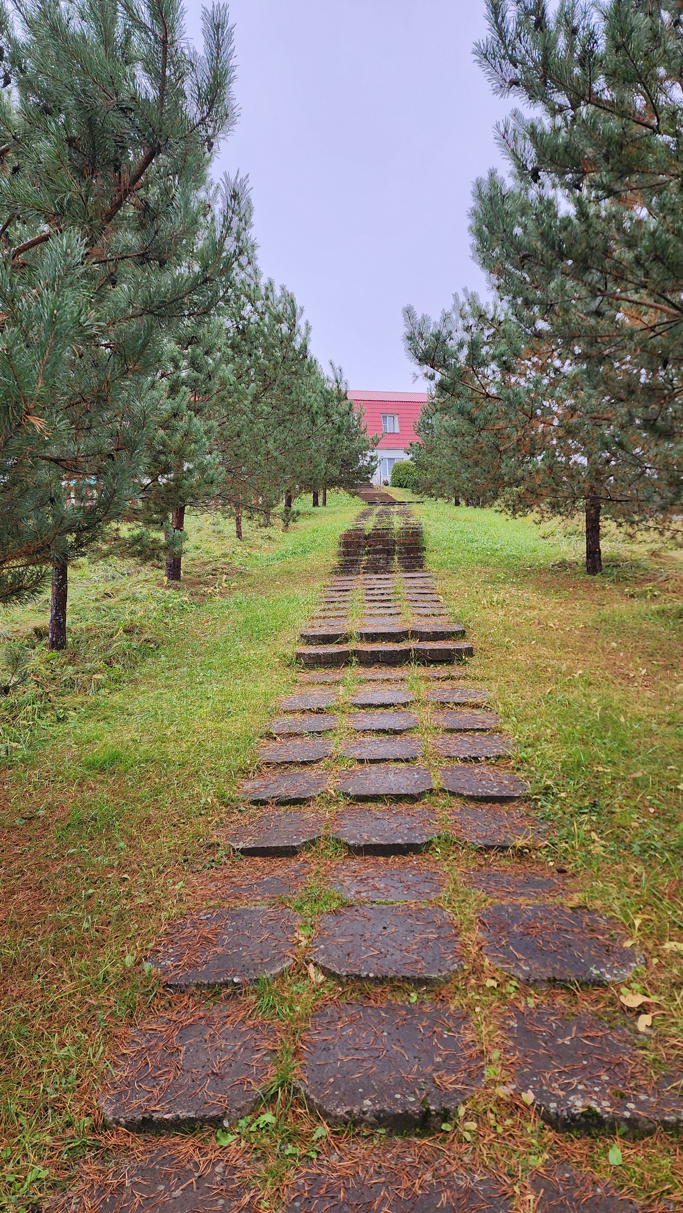 Фото Лесная гавань