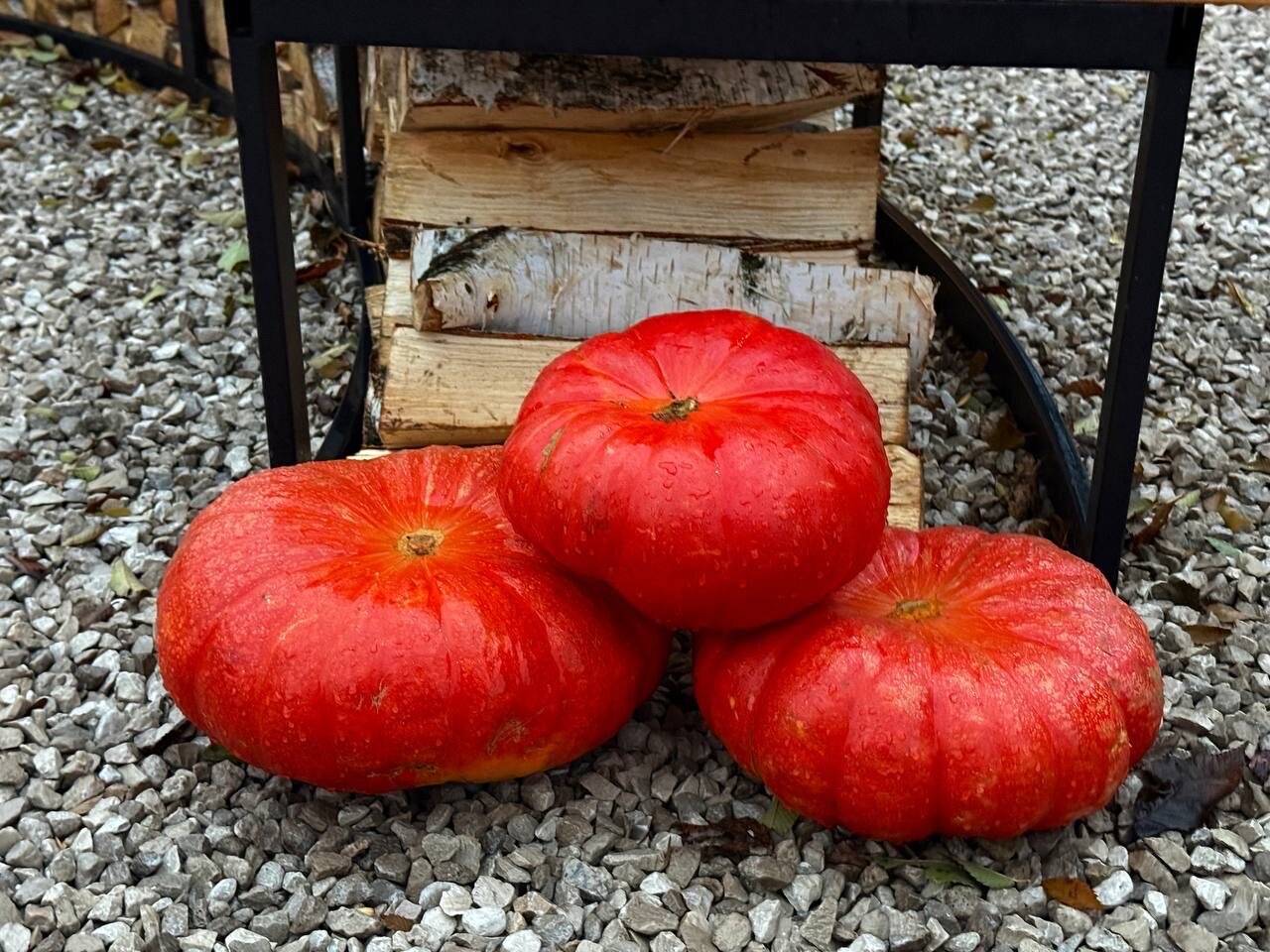 Фото Мьюс Вилла