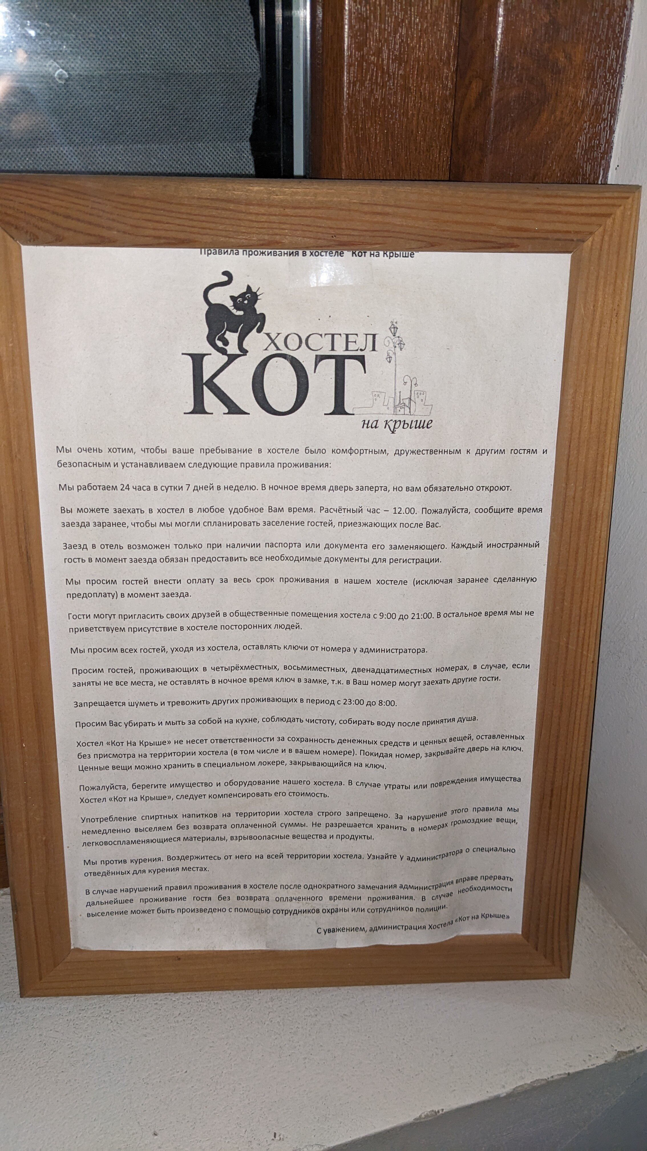 Фото Кот на крыше