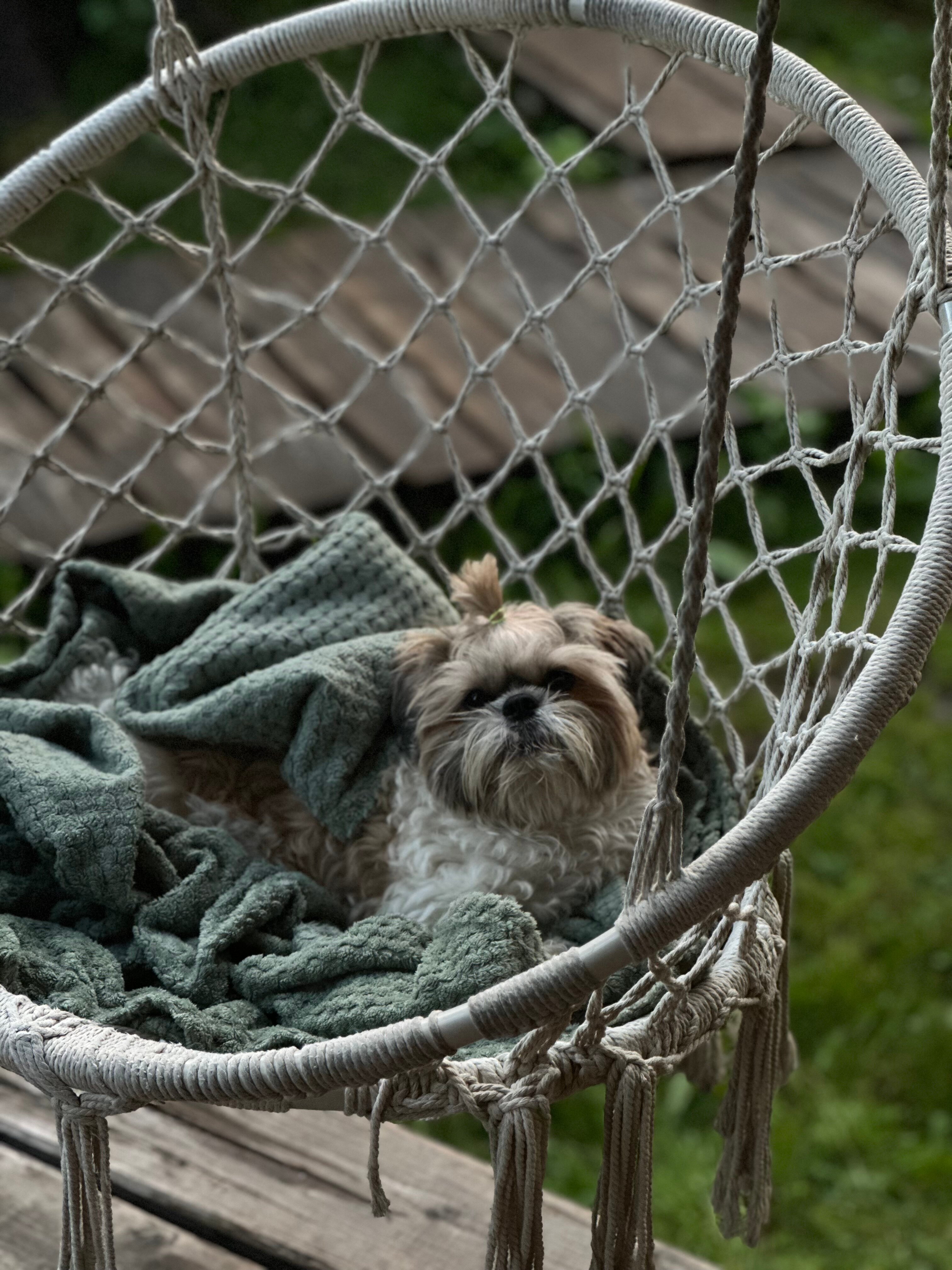 Фото Небесное озеро