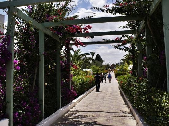 Фото El Mouradi Club Selima