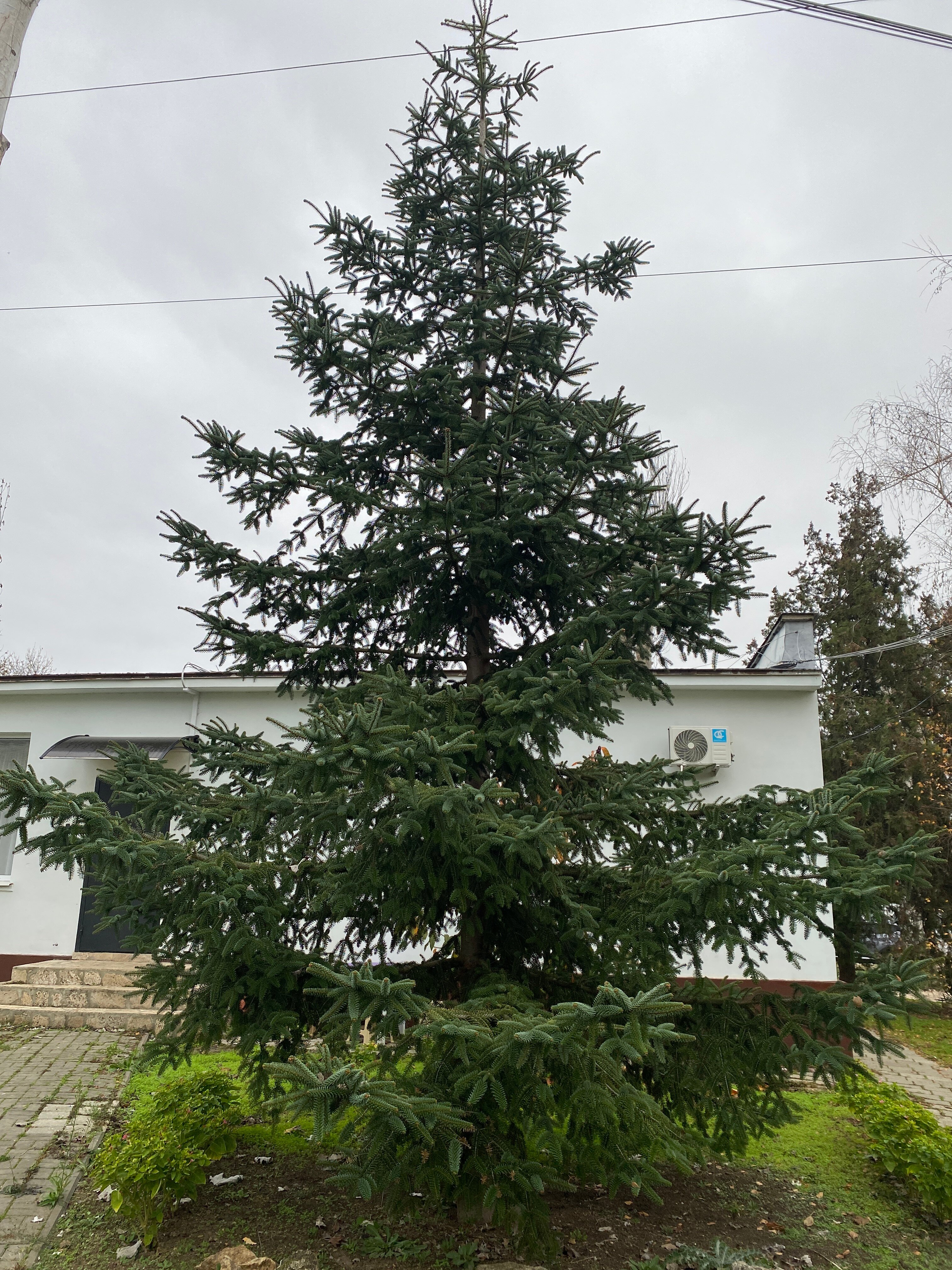 Фото Два моря