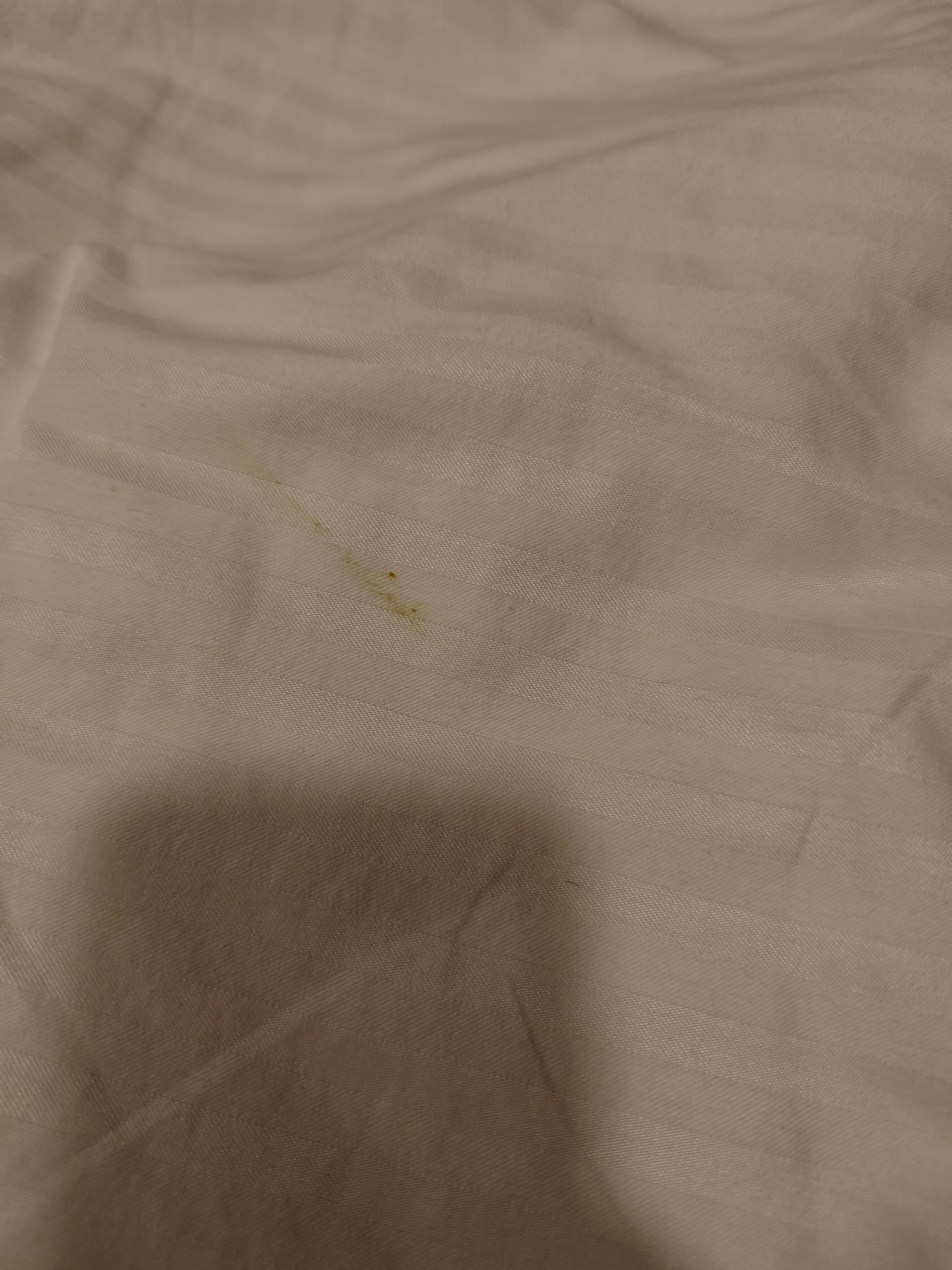 Фото Moon Tlv - 4th floor