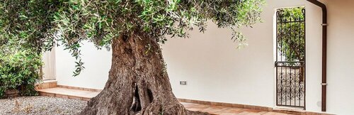 Внешний вид отеля B&b Antico Ulivo в Монополях, фото 3