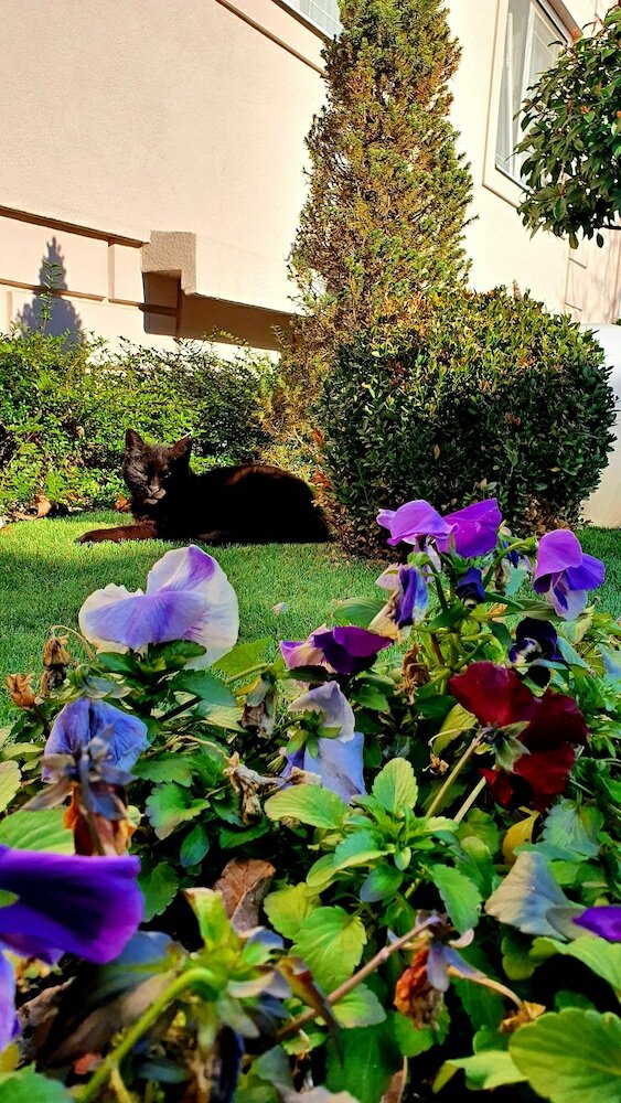 Фото Garni Hotel D10