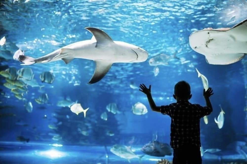 Фото Aloft Newport On The Levee