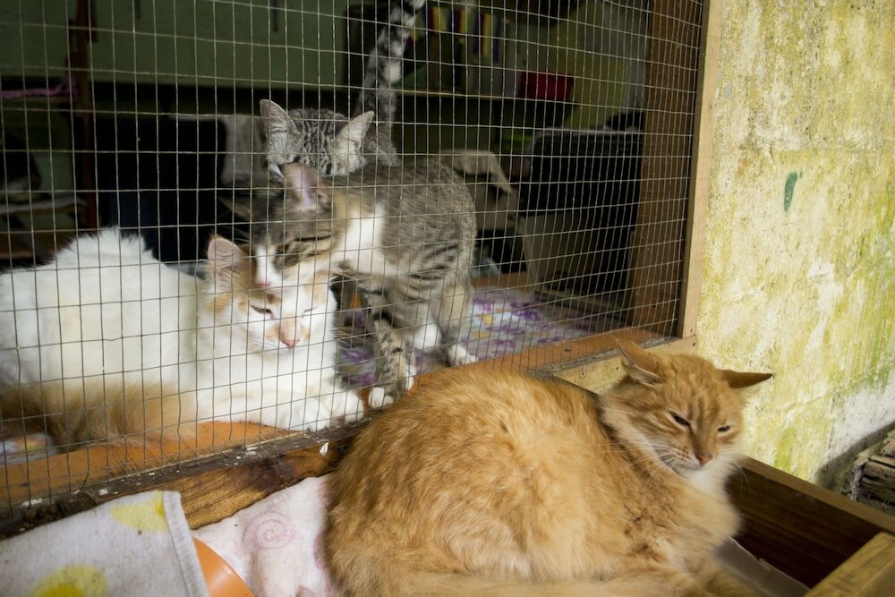 Фото Lands in Love Hotel