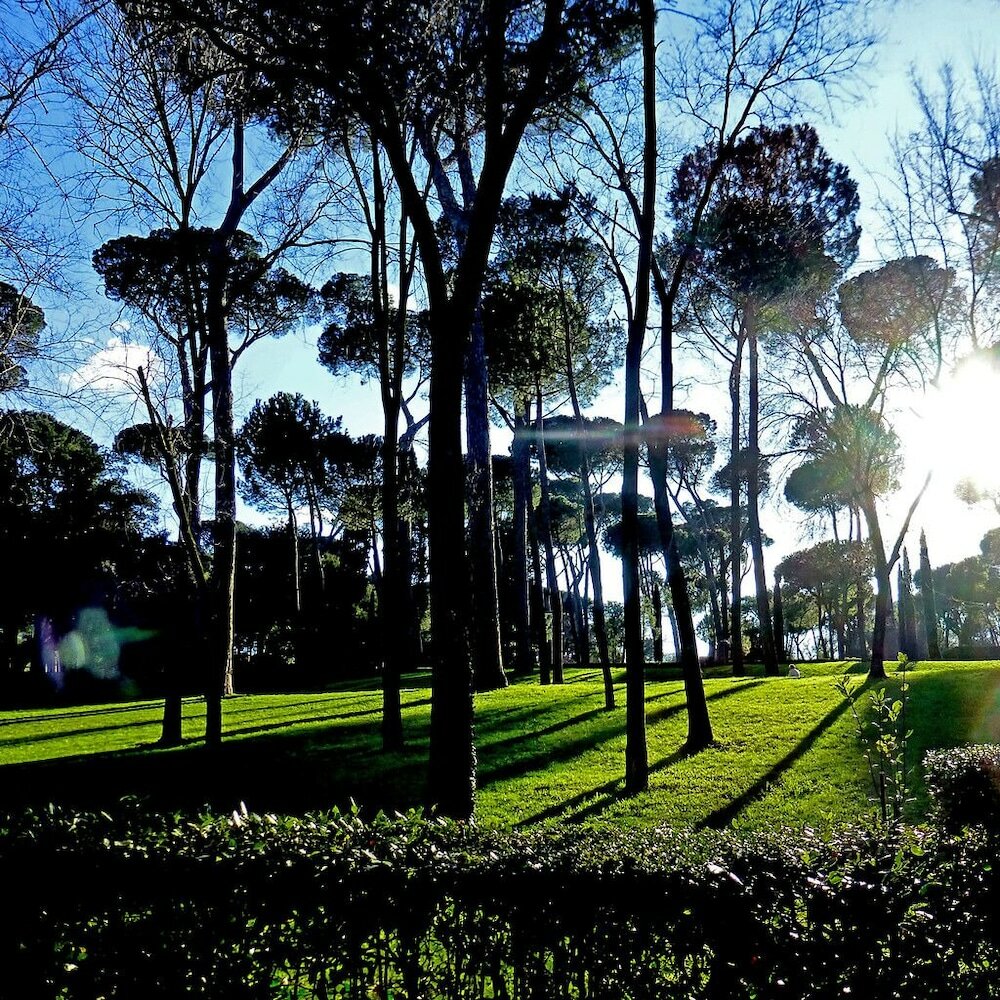 Фото Отель Romanico Palace