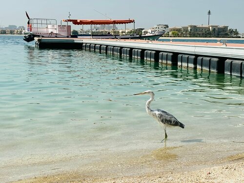 Внешний вид отеля Aloft Palm Jumeirah в Пальме Джумейре, фото 5