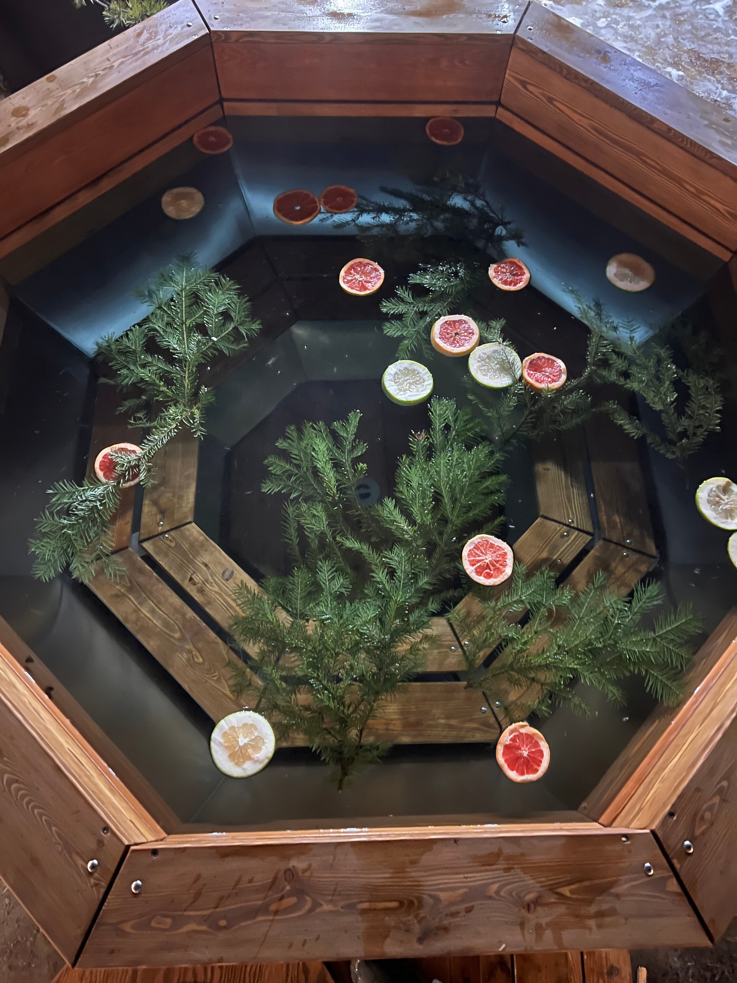 Фото Клюква