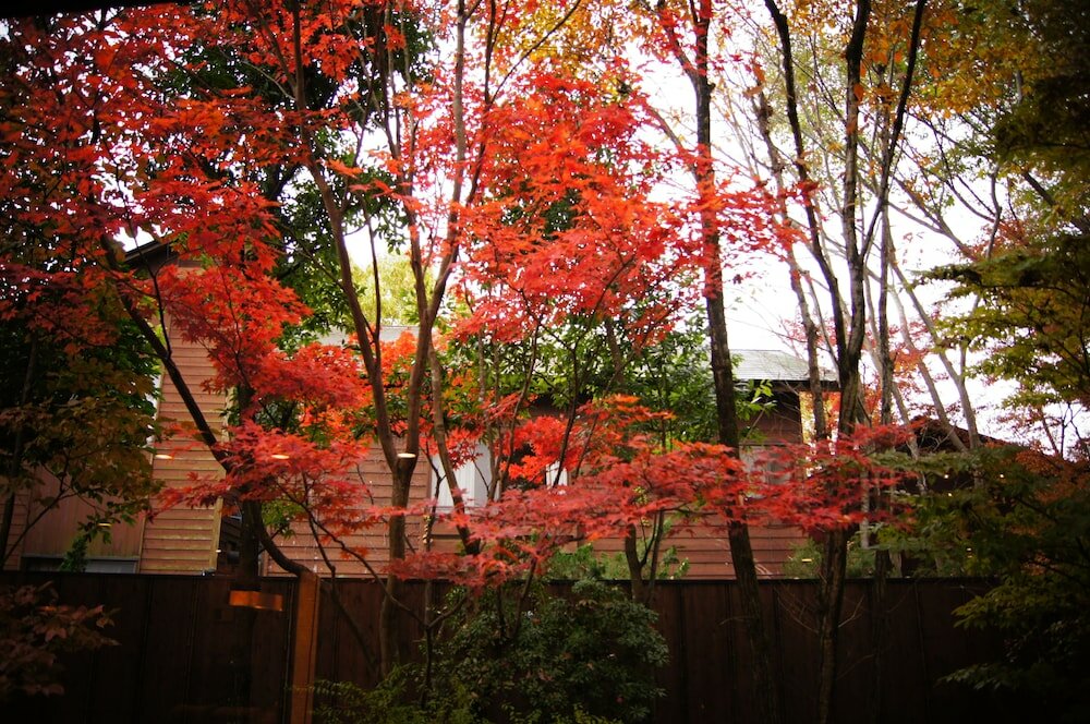 Фото Yufuin Hananomai