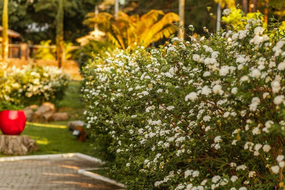 Фото Pousada Betania