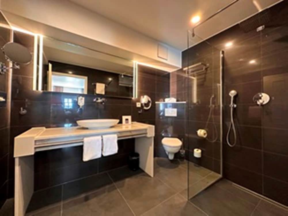 Фото Rhein-Hotel St. Martin