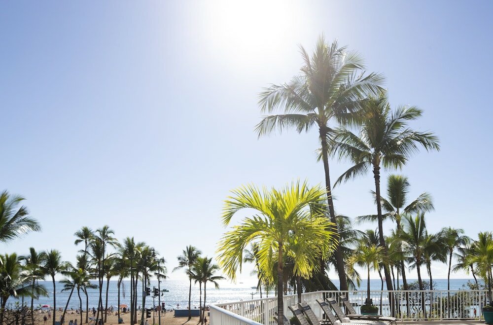Фото Park Shore Waikiki