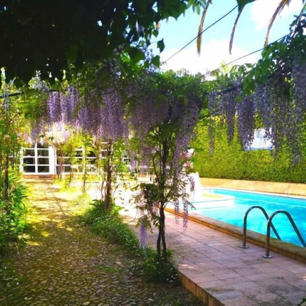 Фото Casa do Foral