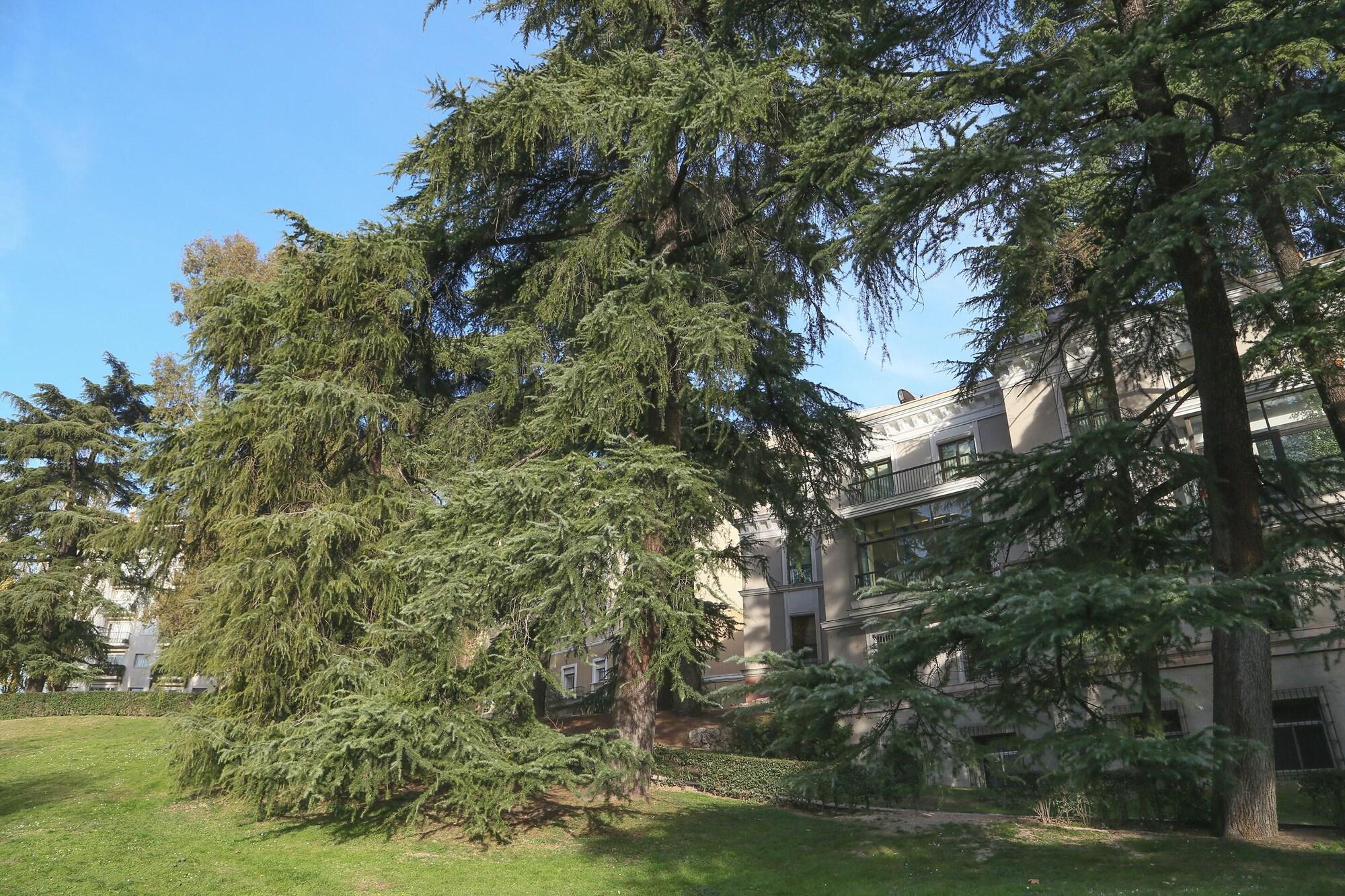 Фото Hostels MeetingPoint