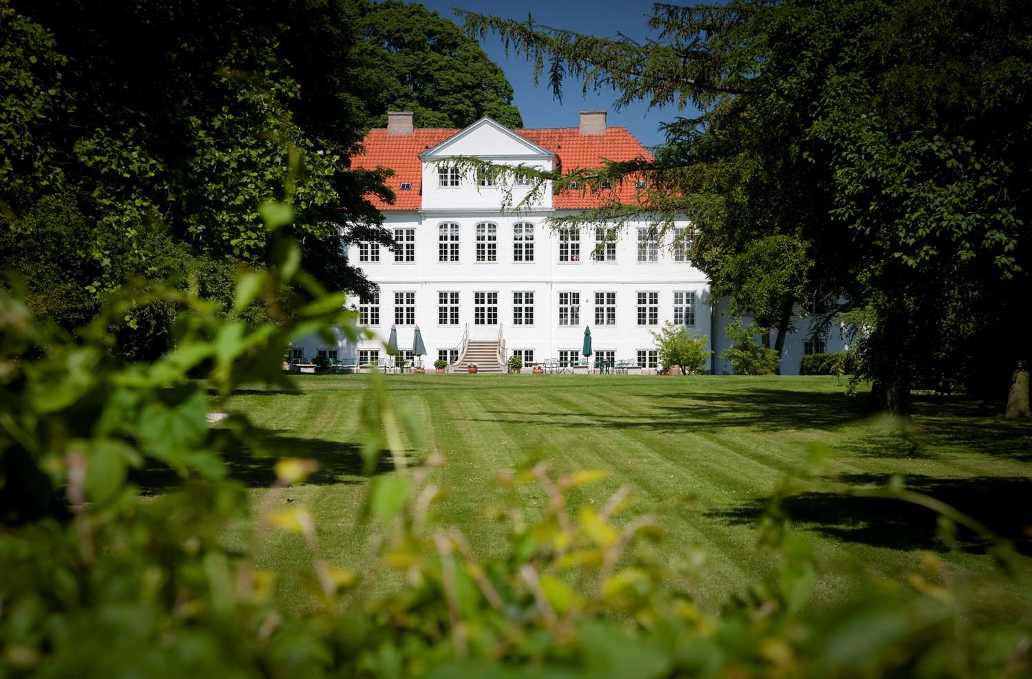 Фото Sure Hotel by Best Western Schaeffergaarden