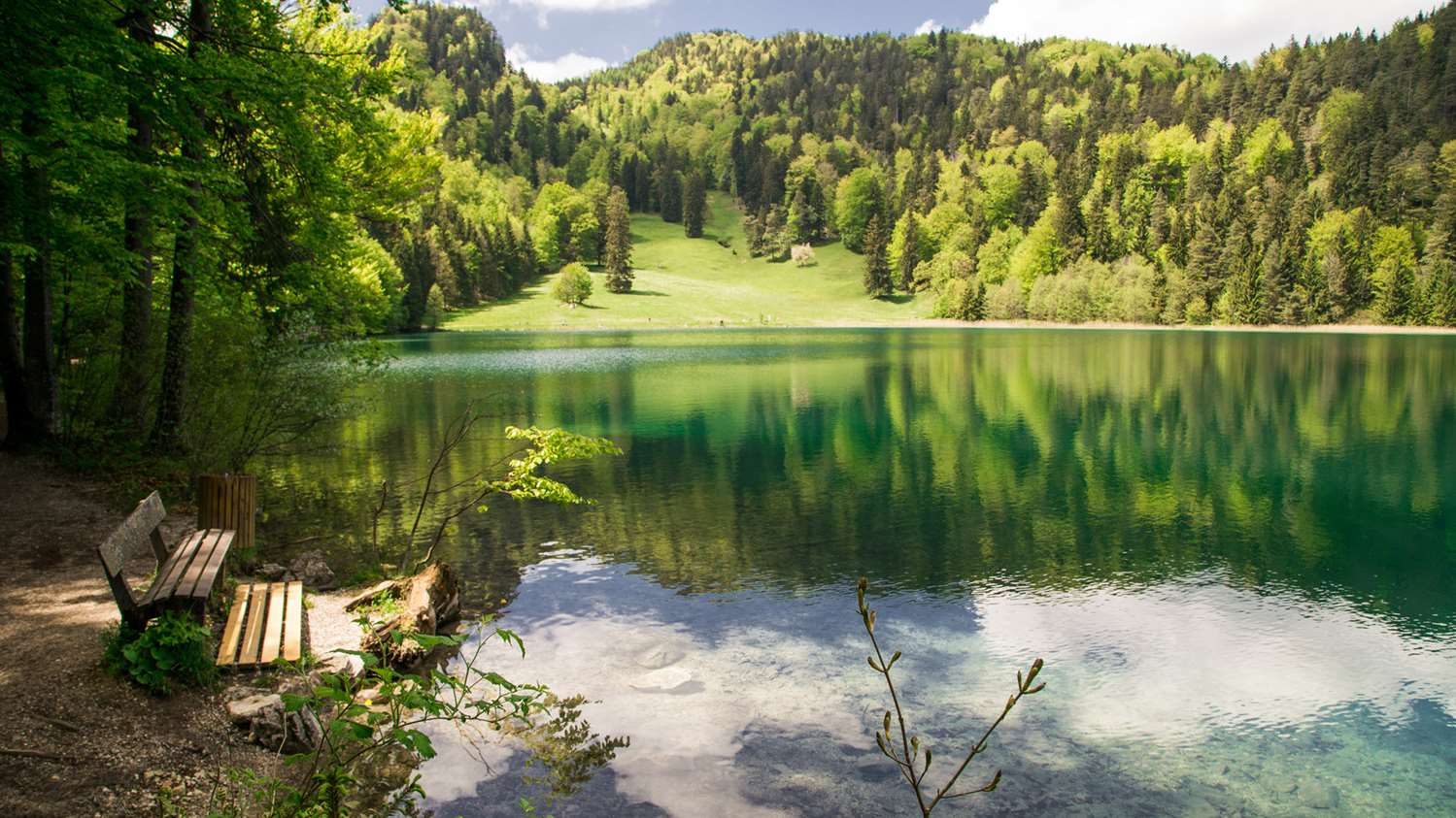 Фото Best Western Plus Hotel Fussen