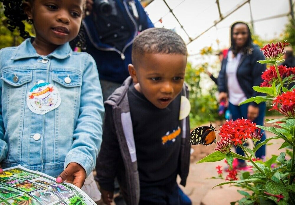 Фото Mission Point Resort