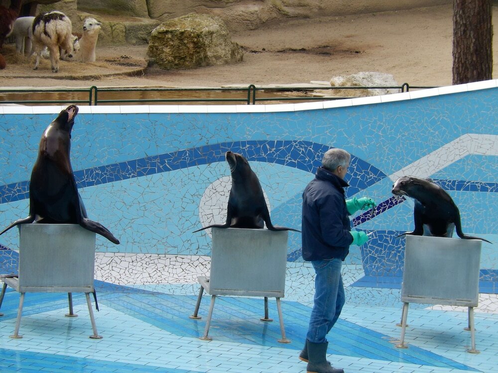 Фото Hotel The Originals Saintes Ouest Recouvrance