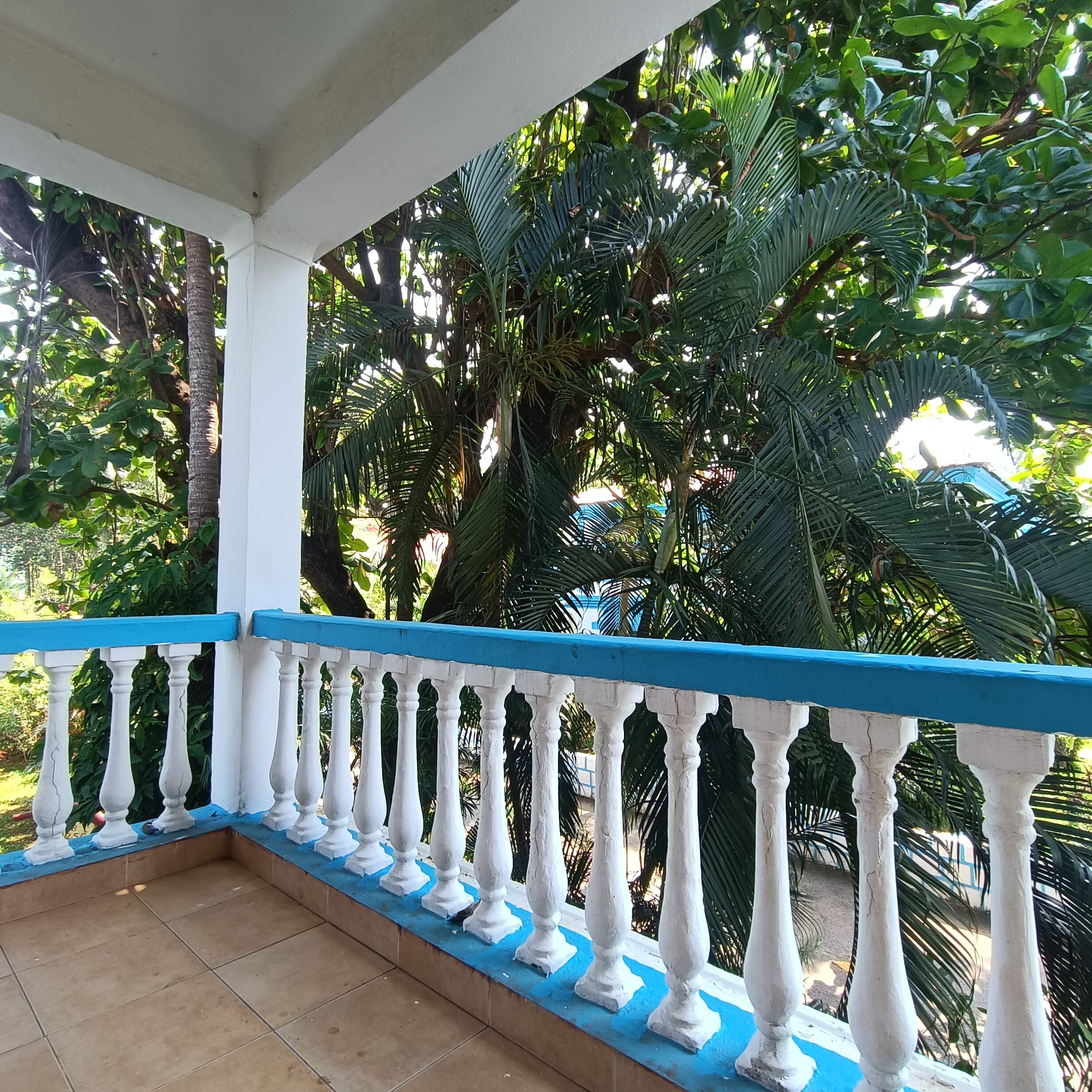 Фото Paradise Village Beach Resort