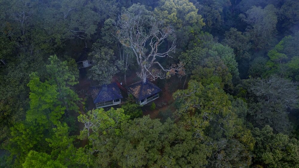 Фото Nature Zone Jungle Resort