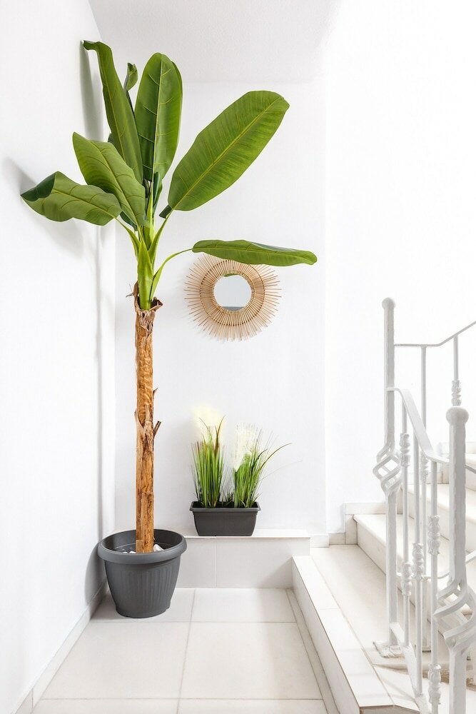 Фото Hotel Marabou