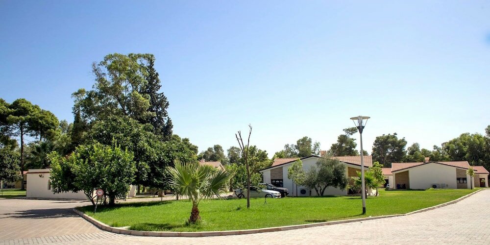 Фото Diamant Vert