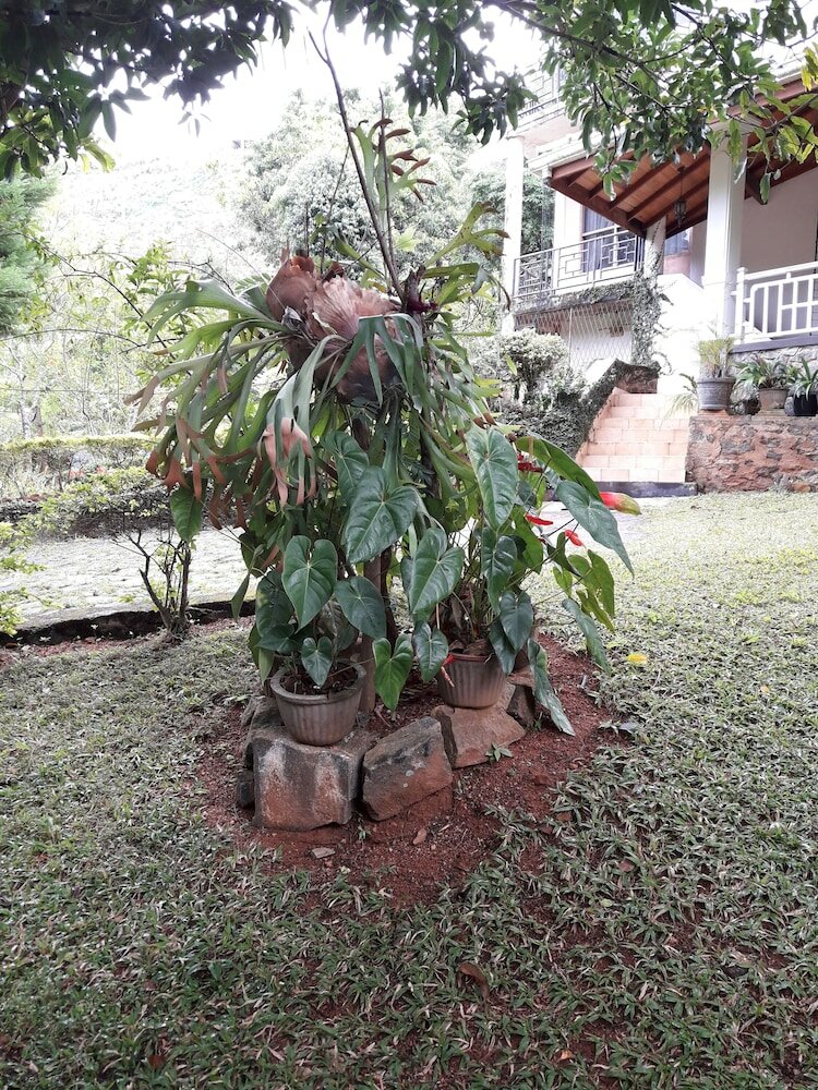 Фото Ka Mario Guesthouse