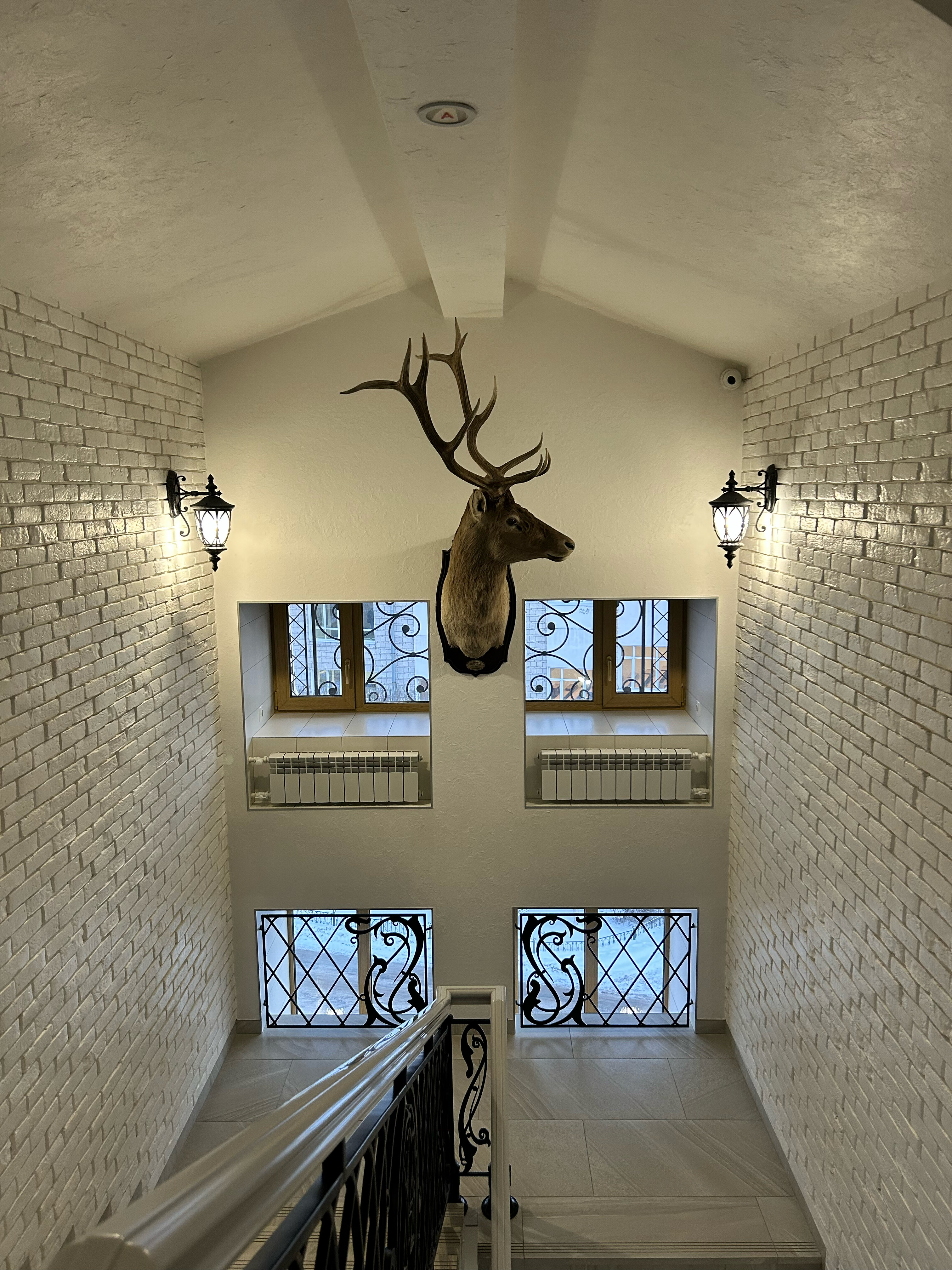 Фото Скандинавия