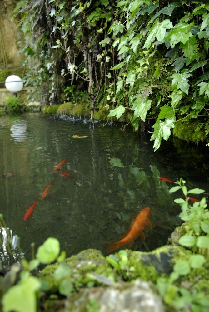 Фото Challet Fonte Nova