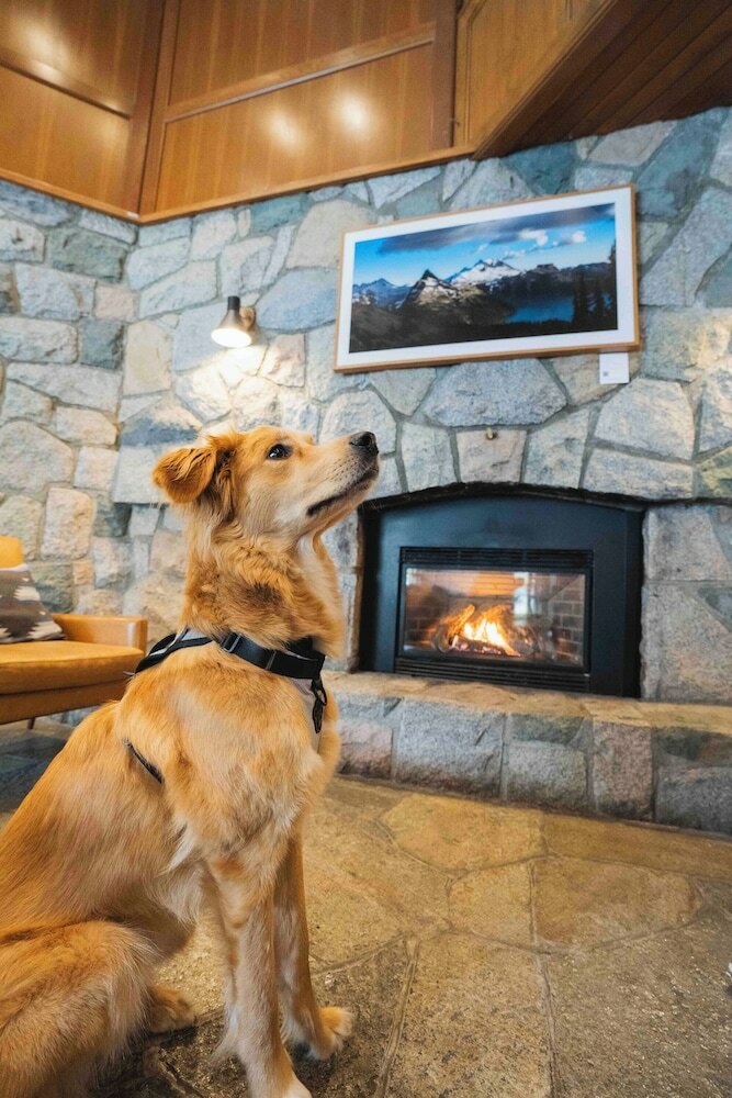 Фото Adara Hotel