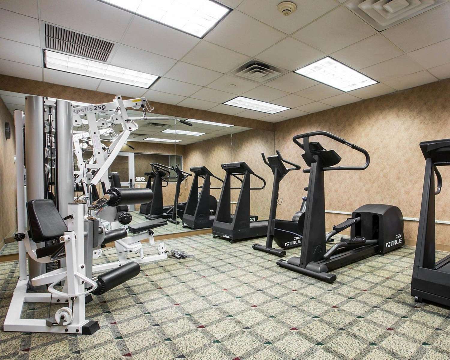 Фото Comfort Inn & Suites